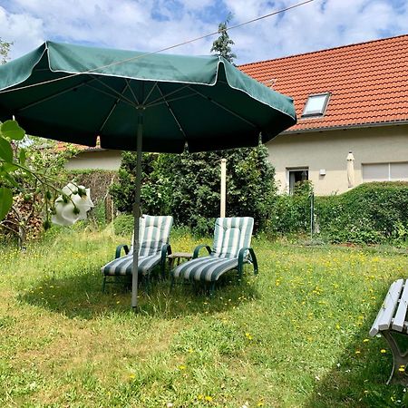 Grosse Ferienwohnung Mit Loggia Und Garten In Cottbus Exterior photo